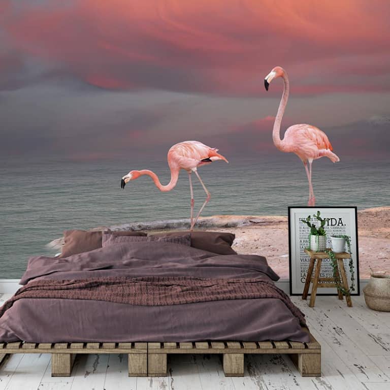 Fotobehang Flamingo S Aan Het Water Op Maat Youpri