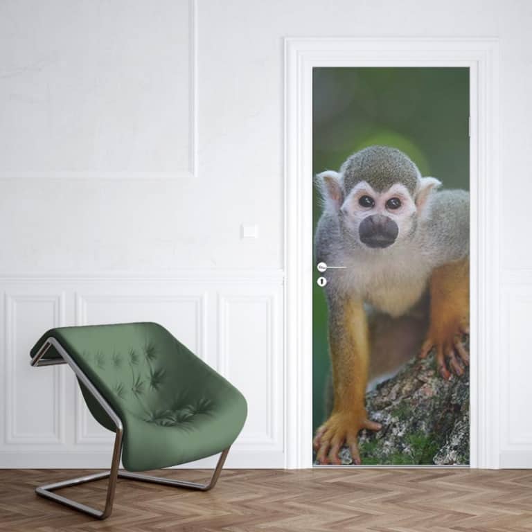 Deursticker Klein aapje 1