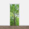 Deursticker boom met groene bladeren