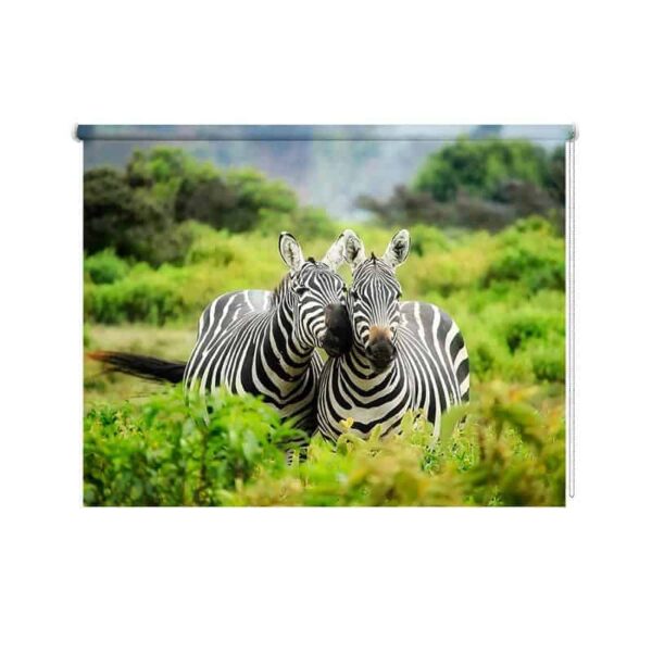 Rolgordijn Knuffelende zebra's
