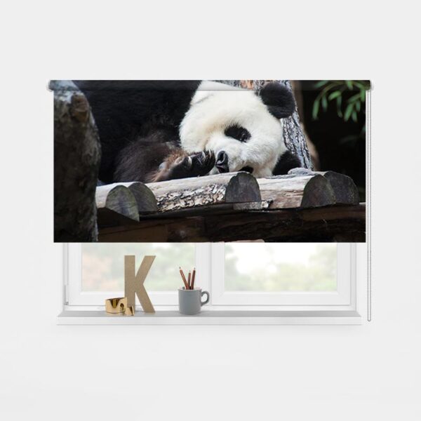 Rolgordijn luie panda 2