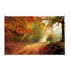 Tuinposter Bospaadje in de herfst
