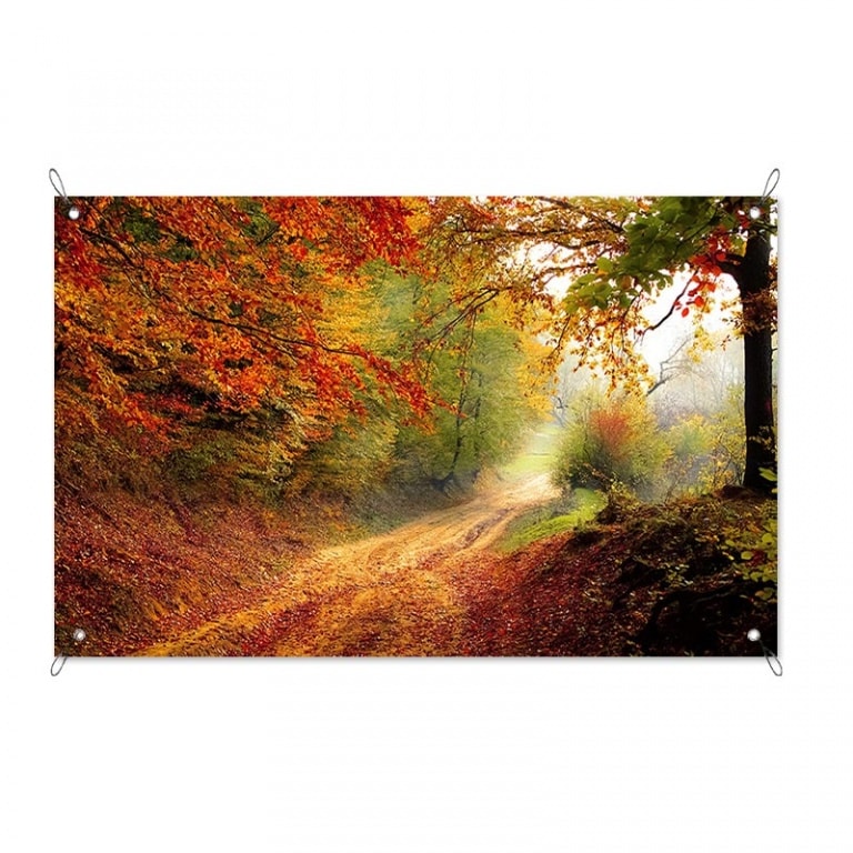 Tuinposter Bospaadje in de herfst