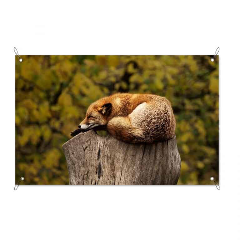 Tuinposter Vos