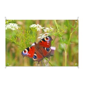 Tuinposter Rode vlinder