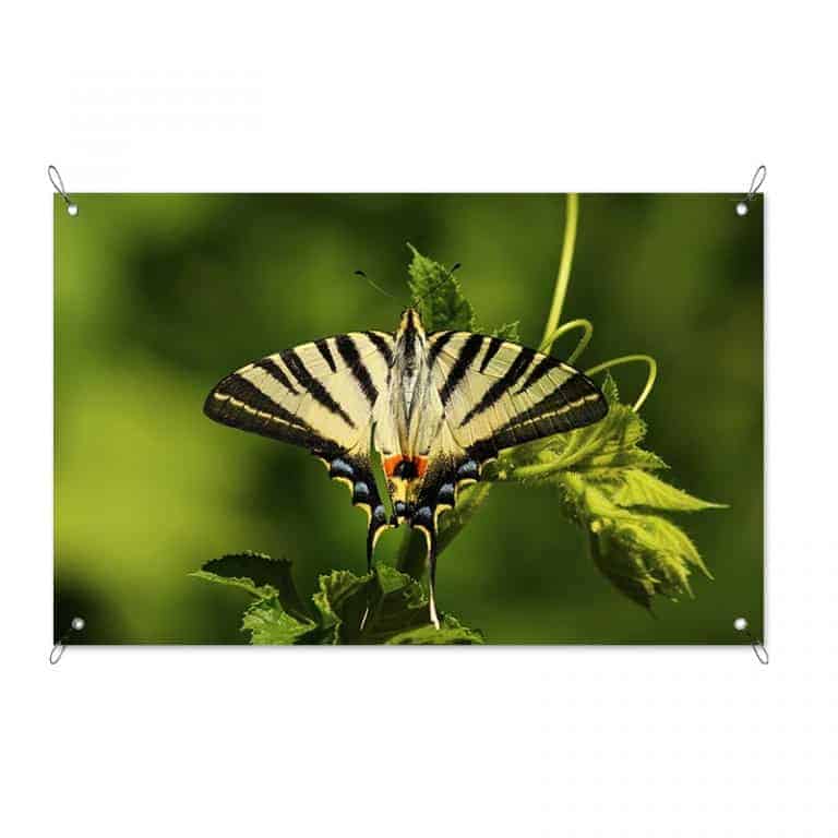 Tuinposter gele vlinder