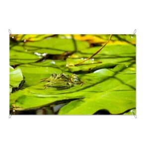 Tuinposter Kikker op waterlelies