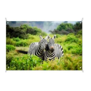 Tuinposter knuffelende zebra's