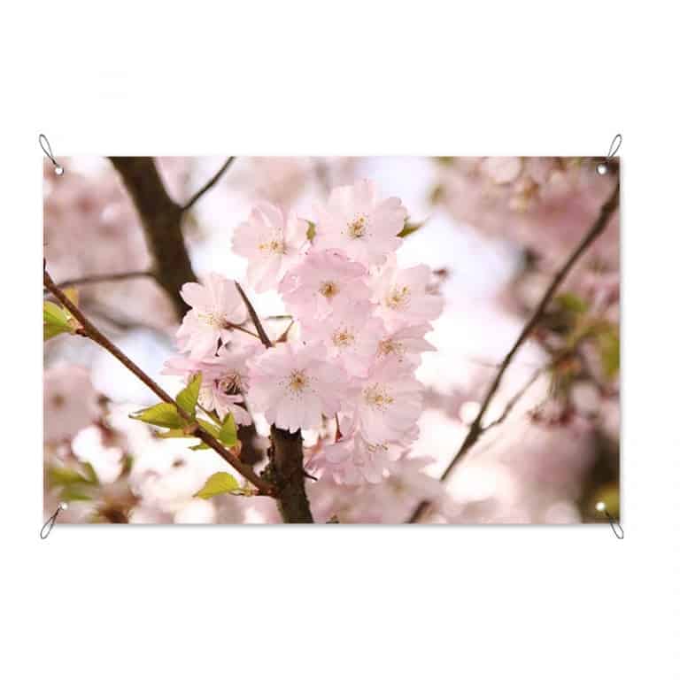 Tuinposter Roze bloesem