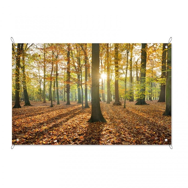 Tuinposter Bos in herfstkleuren