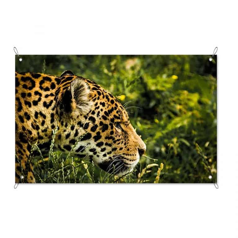 Tuinposter Luipaard