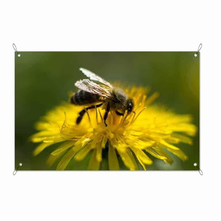 Tuinposter wesp op bloem