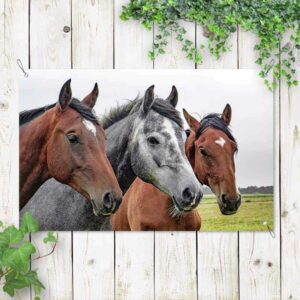 tuinposter paarden