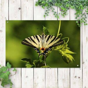 Tuinposter gele vlinder 1