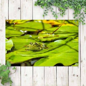 Tuinposter Kikker op waterlelies 1