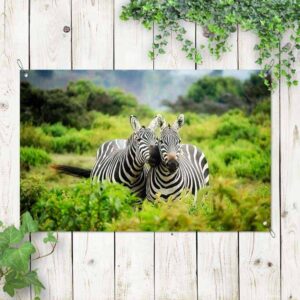 Tuinposter knuffelende zebra's