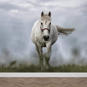 Fotobehang Wit paard