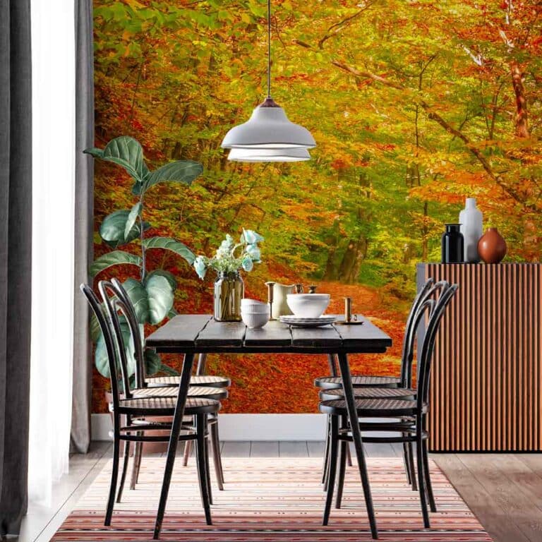 Fotobehang Bospaadje in de herfst