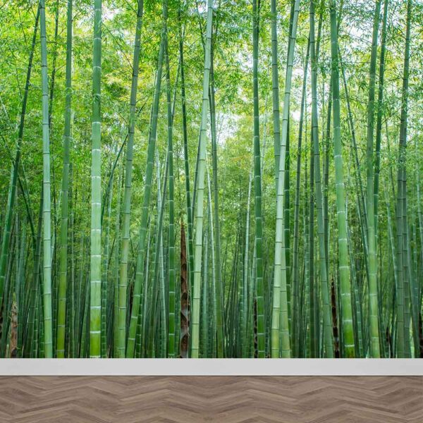 Fotobehang Groen bamboe bos