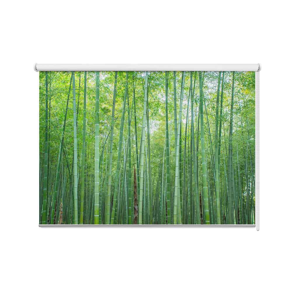 Rolgordijn Groen bamboe bos