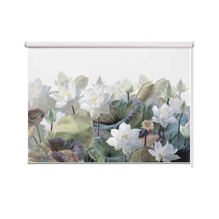 Rolgordijn Waterlelies