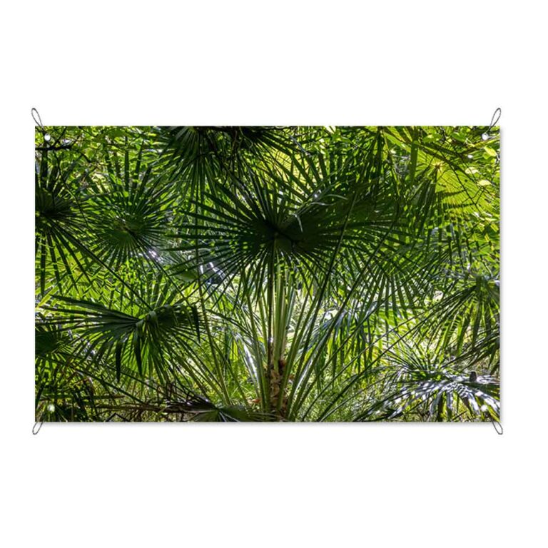 Tuinposter onder de palmboom