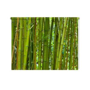 Rolgordijn Groene bamboe