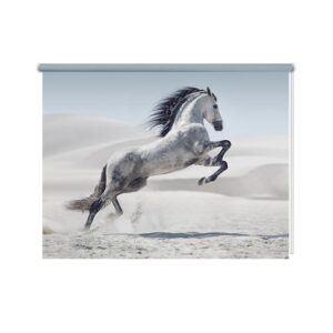 Rolgordijn steigerend wit paard