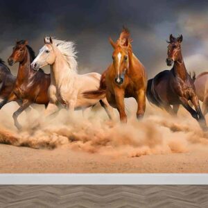 Fotobehang Galopperende paarden