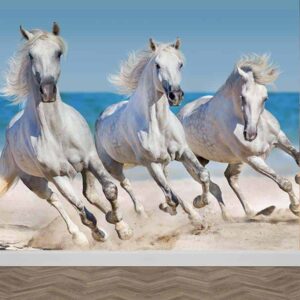 Fotobehang paarden op het strand 1