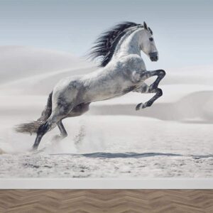 Fotobehang Steigerend wit paard