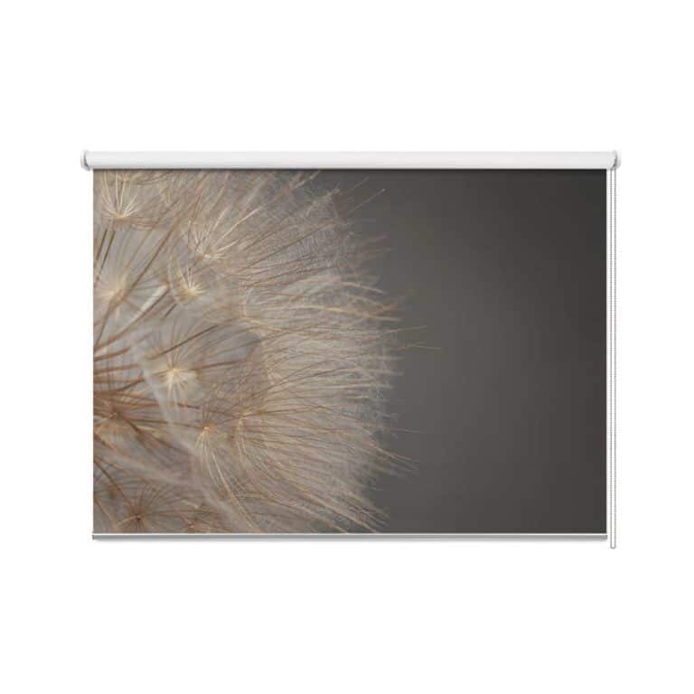Rolgordijn Dandelion dichtbij bruin