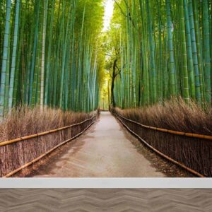 Fotobehang bamboe bos