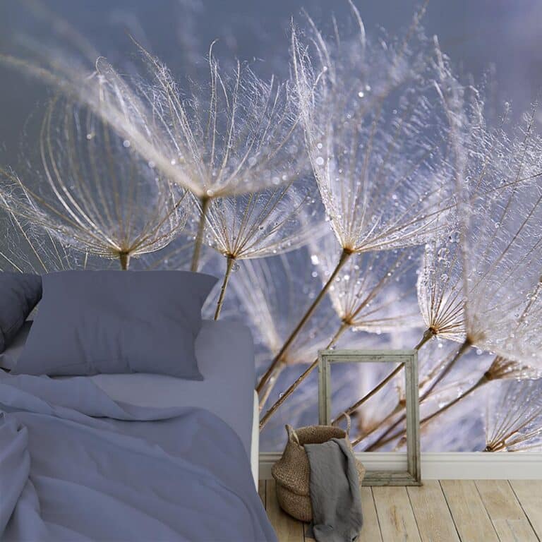 Fotobehang Dandelion grijs blauw