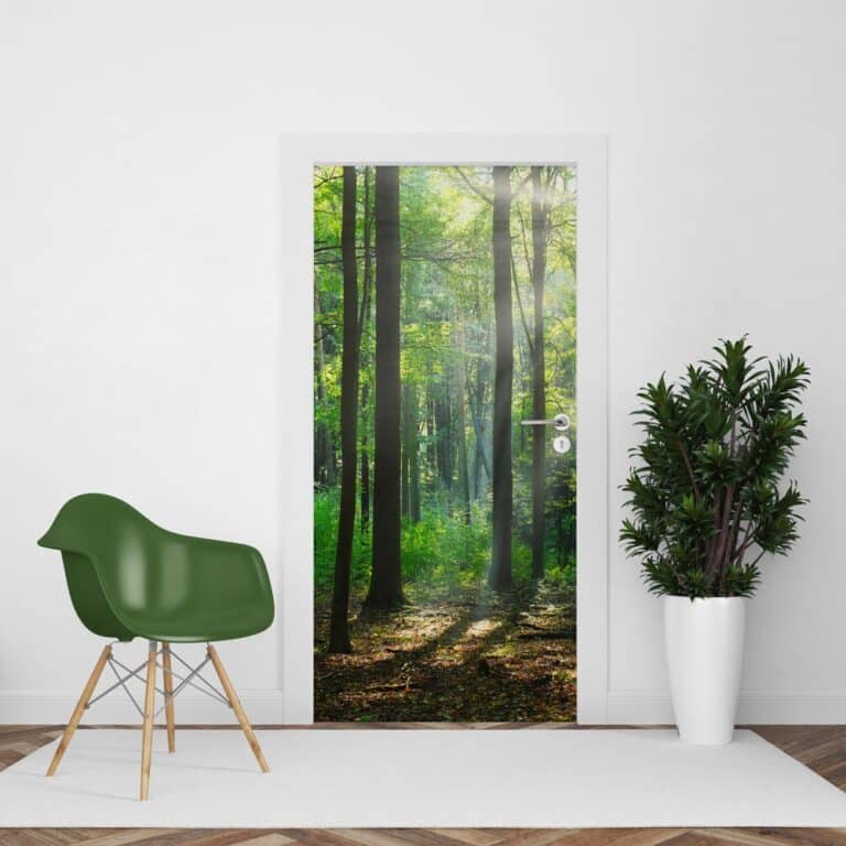 Deursticker Zonnestralen in zomer bos