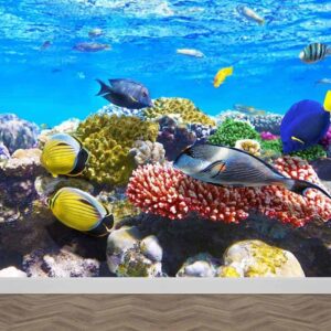 Fotobehang aquarium