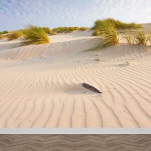 Fotobehang Hollandse duinen