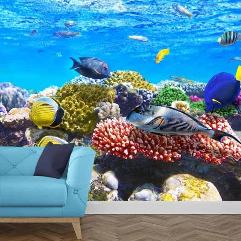Fotobehang aquarium 1