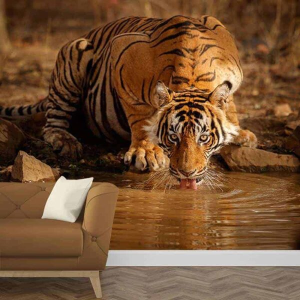 Fotobehang drinkende tijger 1