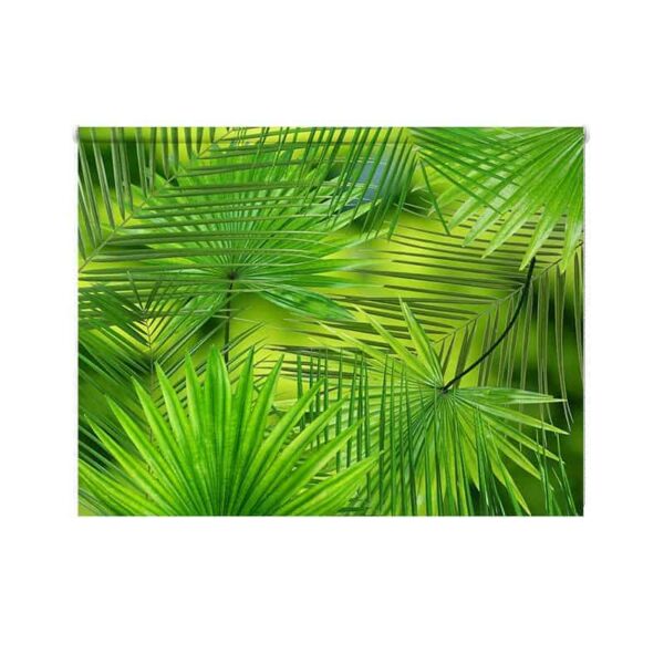 Rolgordijn grote palmbladeren