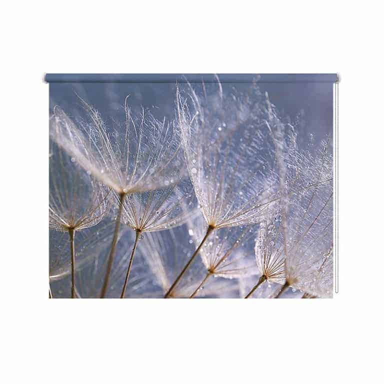Rolgordijn Dandelion