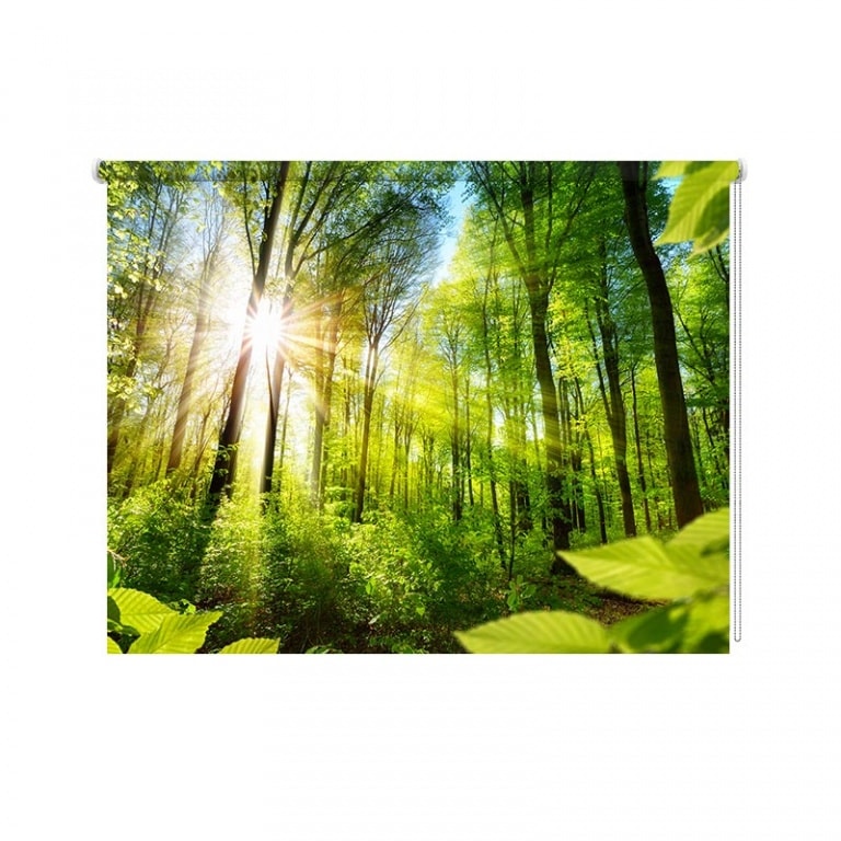 rolgordijn Zonnig bos