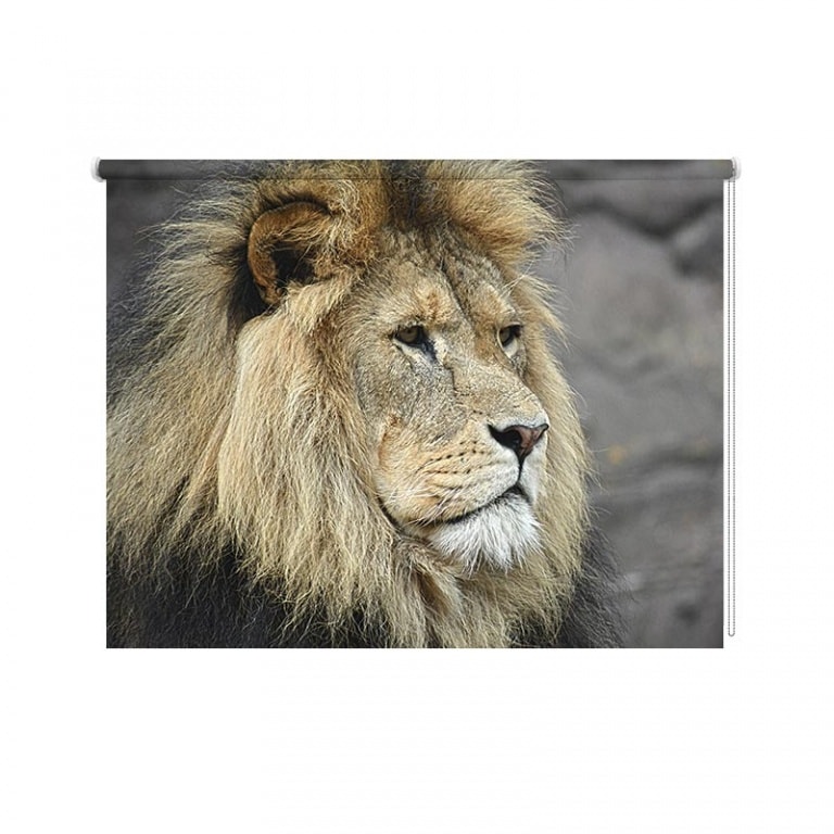 Rolgordijn Koning van de jungle