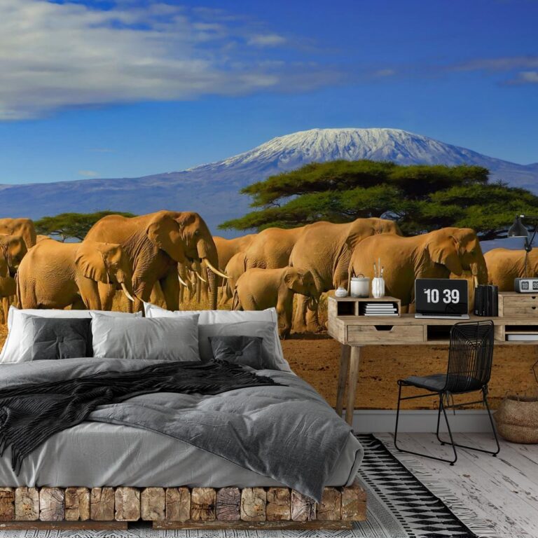Fotobehang Olifanten bij Kilimanjaro
