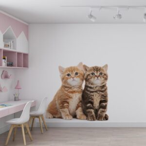 Fotobehang Schattige kittens