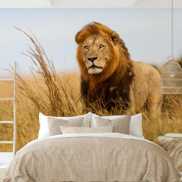 Fotobehang leeuw in Afrika kleur