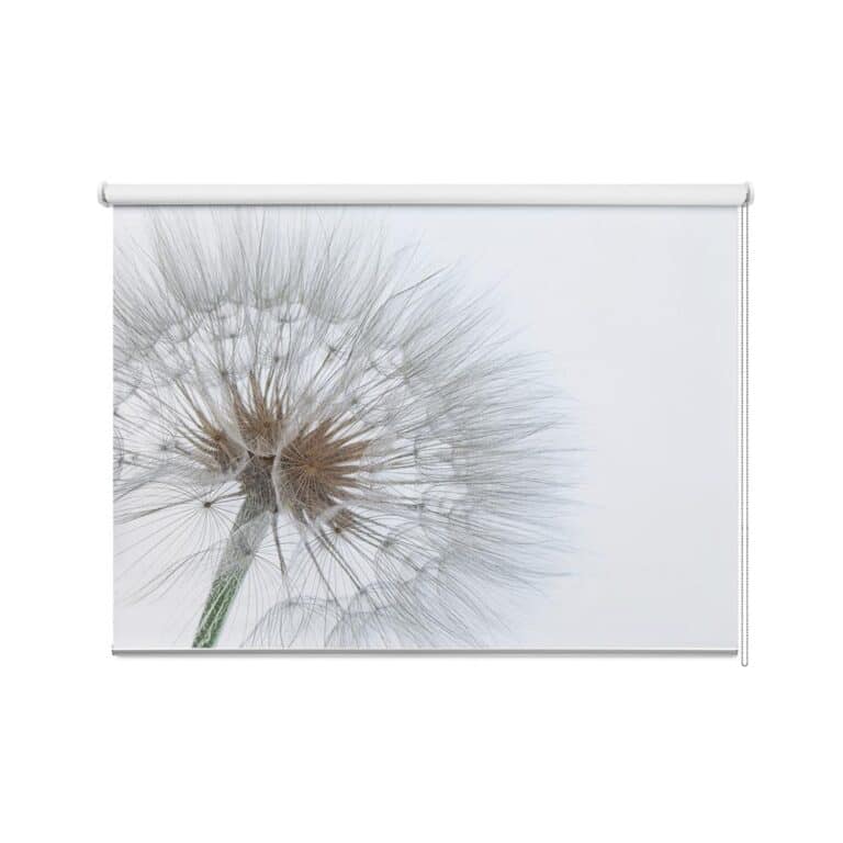 Rolgordijn Paardenbloem op lichte achtergrond