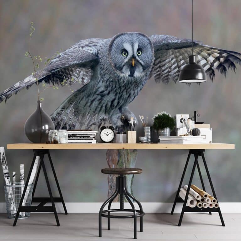 Fotobehang Uil van dichtbij