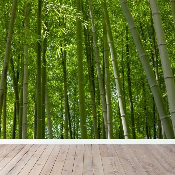 Fotobehang Bamboe oerwoud
