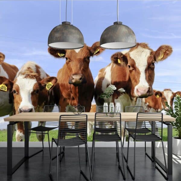 Fotobehang Hollandse koeien